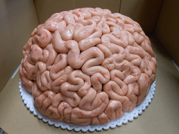 mozek 1