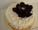(3001)dort s čok. růží