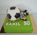 fotbal Kamil  50